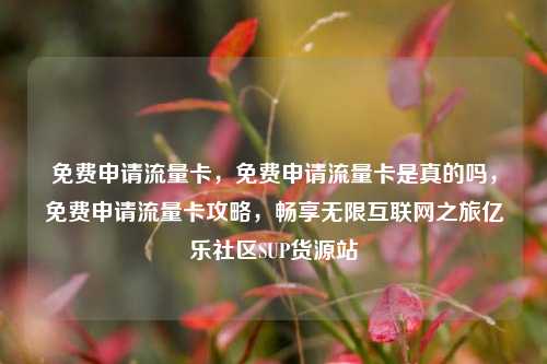 免费申请流量卡，免费申请流量卡是真的吗，免费申请流量卡攻略，畅享无限互联网之旅亿乐社区SUP货源站  第1张
