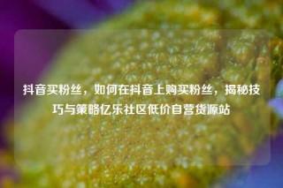 抖音买粉丝，如何在抖音上购买粉丝，揭秘技巧与策略亿乐社区低价自营货源站