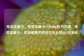 电信流量卡，电信流量卡19元200g官方办理，电信流量卡，灵活便捷的选择亿乐社区SUP货源站
