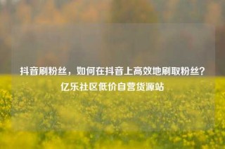 抖音刷粉丝，如何在抖音上高效地刷取粉丝？亿乐社区低价自营货源站