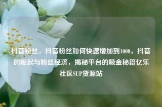 抖音粉丝，抖音粉丝如何快速增加到1000，抖音的崛起与粉丝经济，揭秘平台的吸金秘籍亿乐社区SUP货源站