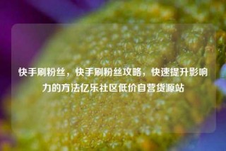 快手刷粉丝，快手刷粉丝攻略，快速提升影响力的方法亿乐社区低价自营货源站