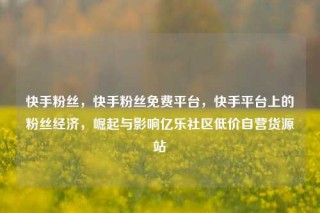 快手粉丝，快手粉丝免费平台，快手平台上的粉丝经济，崛起与影响亿乐社区低价自营货源站