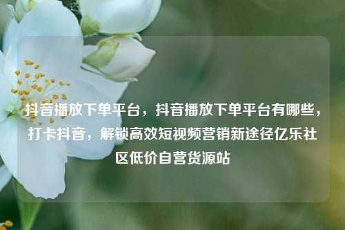 抖音播放下单平台	，抖音播放下单平台有哪些，打卡抖音，解锁高效短视频营销新途径亿乐社区低价自营货源站  第1张