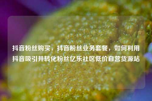 抖音粉丝购买，抖音粉丝业务套餐	，如何利用抖音吸引并转化粉丝亿乐社区低价自营货源站  第1张