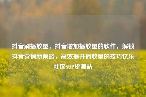 抖音刷播放量	，抖音增加播放量的软件，解锁抖音营销新策略，高效提升播放量的技巧亿乐社区SUP货源站  第1张