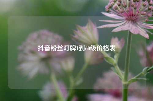抖音粉丝灯牌1到60级价格表  第1张