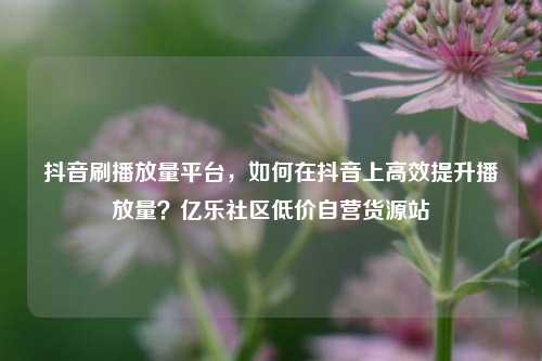 抖音刷播放量平台	，如何在抖音上高效提升播放量？亿乐社区低价自营货源站  第1张